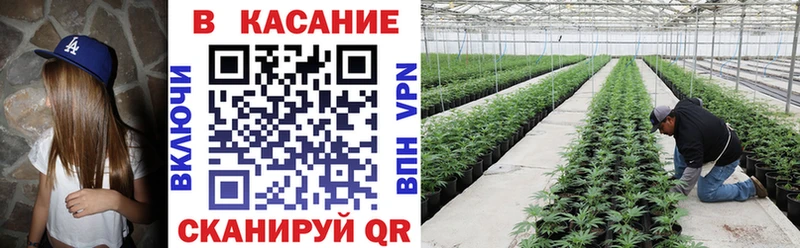 Наркота Касимов APVP  ГАШ 