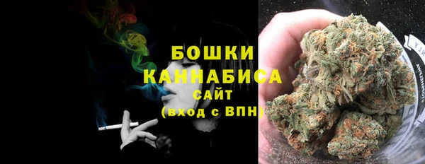 гашик Бородино