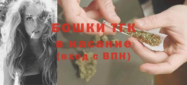 гашик Бородино