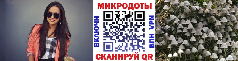 наркота  Касимов  ОМГ ОМГ как зайти  Псилоцибиновые грибы прущие грибы 